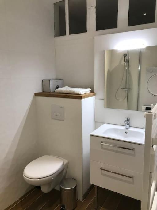 Appartement Cosy A Deux Pas De La Gare Лавал Екстериор снимка